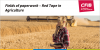 CFIB warns red tape threatens the future of Canadian Agriculture