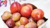 Chilean Stone Fruit Approach Peak Arrivals for 2026 Season: Marketing Campaign Launches With Everyday Health Theme