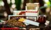 New excise duty and health cess on tobacco and pan masala to take effect from February 1