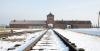 Nazi documents withdrawn from German auction passed to Poland’s Auschwitz-Birkenau Foundation