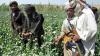 The True Nature of the Taliban: Illusory Economic Self-Sufficiency and Dual Drug Policies