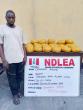 NDLEA Nabs Brazil Returnee with Cocaine at Lagos Airport, Seizes 9.9 Tonnes of Drugs Nationwide‎‎