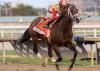 “Feeling Frisky”: Nearly Feeling Good After Holy Bull Win, Likely to Train Up to Florida Derby