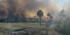 Tyndall Air Force Base conducting 2,500-acre prescribed burn