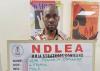 NDLEA Arrests Brazil Returnee with Cocaine Hidden on Body, Seizes Nearly 10 Tonnes of Drugs Nationwide
