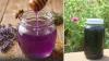 North Carolina’s rare purple honey and science behind its colour