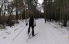 Skiers and walkers clash over sharing Estonia's popular trails