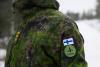 Fortress Finland: Nordic deterrence against Russia