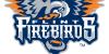 Healthcare workers to be honored at Firebirds game