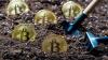 US Storm Disrupts Bitcoin Mining as Hash Rate Takes a Sharp Hit