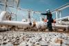 Moroccan Energy Ministry Pauses Gas Pipeline Project