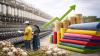 Budget 2026 lifts textiles support with focus on Cotton Mission, technology upgrades