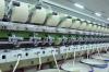 India’s Odisha state to set up textile mills in cotton-producing belt
