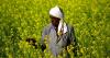Indian Agriculture: Between the 2026 Union budget & US-India trade deal, a huge setback for Indian farmers