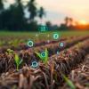 Exploring IoT’s Global Impact on Agriculture Research