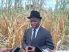 Mangochi Chief Appeals for Government Intervention as Dry Spell Threatens Food Security