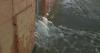 Burst water pipe floods part of Franklin Wright's Woodward Avenue location
