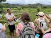 Jefferson Fellows explore food security in Hawaiʻi, Indonesia, and Thailand