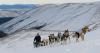 In a tenuous time for distance mushing, Yukon Quest Alaska takes a new path
