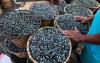Açaí has been named Brazil’s national fruit in a bid to combat biopiracy
