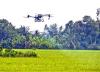 Agriculture sector puts data at the heart of digital transfo...