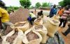 Cameroon tightens controls to curb illegal cocoa exports to Nigeria, CFA41.4bn lost in 2024