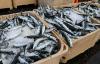 Icelandic fishing industry lambasts decision to join 2026 mackerel agreement