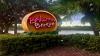 Darden Restaurants to shut half of Bahama Breeze sites in US