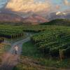 Bubbling under: Can sparkling wine drive Argentina's premium push?