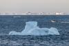 AI to track icebergs adrift at sea in boon for science