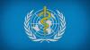 WHO Appeals for USD1B as 53M Lose Healthcare Access Worldwide