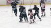 Ice Bears beat Stars and Denmark girls topple Little Chute