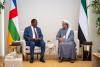 Mansour bin Zayed meets Central African Republic President on sidelines of World Governments Summit