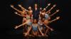 Alvin Ailey American Dance Theater returns to DC As we celebrate Black History Month, theAlvin Ailey American Dance Theater is making its annual visit to Washington, D.C.The Alvin AileyAmerican Dance Theater