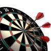 Guyana Darts Association to host CDLC trials on February 8 and 15
