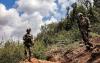 Lebanon accuses Israel of spraying herbicide in border areas