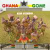 Nana Asamoah celebrates identity and unity in patriotic single ‘Ghana’