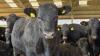 How to save money by meeting beef retail market spec