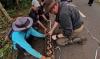 Indonesia’s python confirmed as world’s longest wild snake