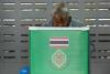 Polling starts in Thailand as Cambodia border dispute, economic stagnation top voter concerns