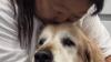 Food blogger Nagi Maehashi shares heartbreaking update on dog Dozer