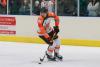 Telford Tigers lose ground in NIHL after shipping six in Hull Seahawks defeat