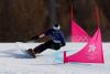 Austrian snowboarder wins parallel giant slalom in 5th Olympics