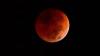 Don’t miss a rare Total Lunar Eclipse viewing session this March at Science Centre Singapore