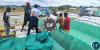Zambia Dispatches Food Aid and Aircraft to Flood-Affected Mozambique