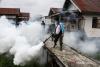 Indonesia urges stronger ASEAN cooperation against dengue threat