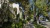 California's 'City Of Trees' Is A Historic Los Angeles Suburb With Scenic Green Streets And Walkable Charm