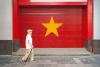 Vietnam banks' profitability enters new expansion phase