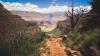 Arizona's 5 Longest Trails Through Breathtaking Canyons