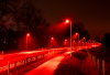 Denmark trials red streetlights to protect wildlife